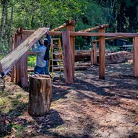 Senior Park Aide Jake Reed (left) and Yurok Trail Crew members Napooi Shorty and Michael Wolf (partially hidden) lift the first of the new roof planks onto the framework of the new women's Dressing House. Photo by Mark Larson