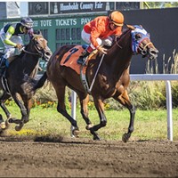 Racing at the 2019 Humboldt County Fair.