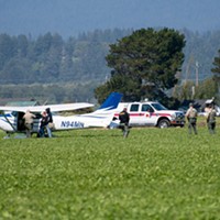 The small plane came to a rest in an Arcata field.