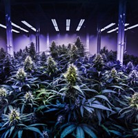 Growers Seek to Remove Cannabis Initiative from Ballot