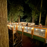Illuminated Redwood Sky Walk at Sequoia Park Zoo
