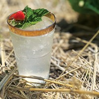 The Planter Box cocktail is refreshing and adaptable.