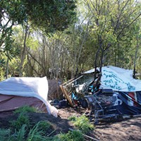 An illegal camp behind the Bayshore Mall.