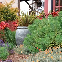 A Tuscan style adds color to the Eureka garden of Lynda Pozel.