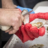 Tens of thousands of locally produced oysters met their fate at the 27th annual Oyster Festival.