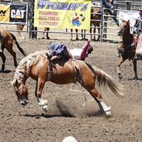 Fortuna Rodeo action