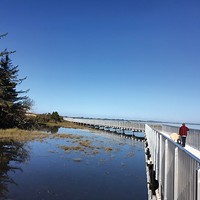The newly-opened Eureka Waterfront Trail