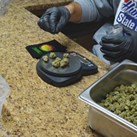 A dispensary employee weighs out marijuana.