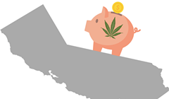 Reports Find Cannabis Bank Infeasible; Five Things You Need to Know About Public Banking in California