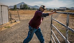 Ranchers Who Tapped Shasta River Face $4,000 Proposed Fine for Violating State Drought Order