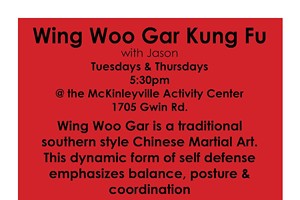 Wing Woo Gar Kung Fu