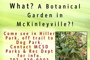 McKinleyville Botanical Garden Workday