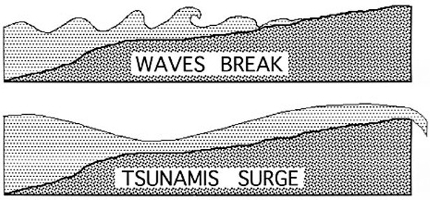 Tsunami Terrors