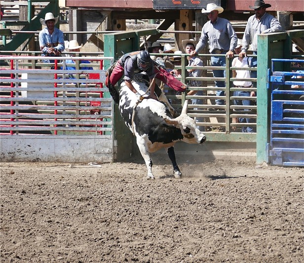 Rodeo 2015