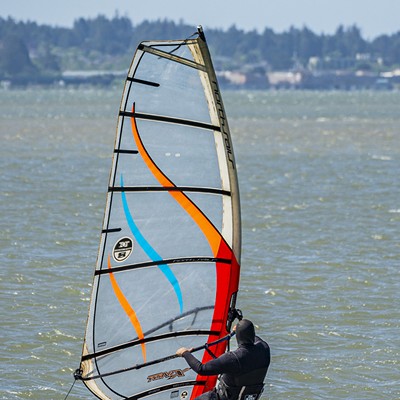 Windsurfing in Humboldt Bay