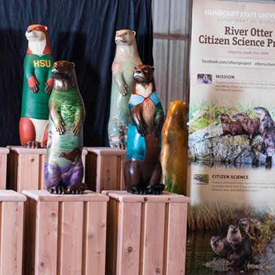 North Coast Otters Public Art Initiative Otter Sculptures Preview