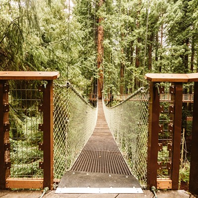 Sequoia Park Zoo Redwood Skywalk