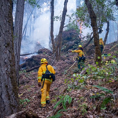 Scenes from the Knob Fire