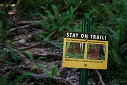 PHOTO BY MAX FORSTER - Visitors are asked to walk on designated trails in order to prevent the damage caused by "social" trails.