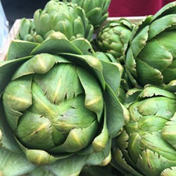 Artichokes from Earthly Edibles Farm - Uploaded by NCGA Ivy