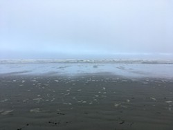 PHOTO BY SIMONA CARINI - Fog can tame the ocean's presence on a mind-clearing walk at Clam Beach.