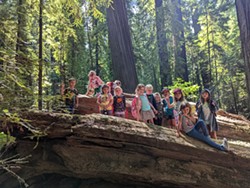 Summer Adventure Campers enjoying the redwoods of southern Humboldt