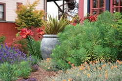 PHOTO BY GENEVIEVE SCHMIDT - A Tuscan style adds color to the Eureka garden of Lynda Pozel.