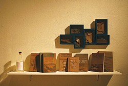PHOTO COURTESY OF COLLEGE OF THE REDWOODS - On the shelf at Nicole Antebi's video installation show.
