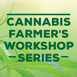 f2b68f68_cannabis_workshop_series_pic.jpg