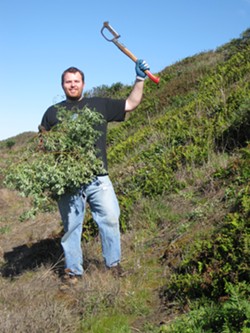 Restoration volunteer John Mitcha shows off a yellow bush lupine he bashed at the 2011 event.