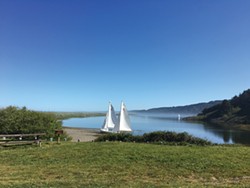 PHOTO COURTESY OF HUMBOLDT BAY AQUATIC CENTER - Lasers about to set sail on Big Lagoon.
