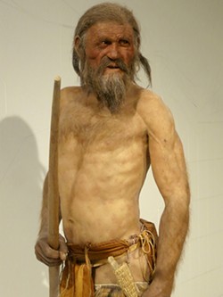 PHOTO BY BARRY EVANS - Reconstruction of &Ouml;tzi by paleo-artists Adrie and Alfons Kennis.