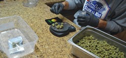 FILE PHOTO - A dispensary employee weighs out marijuana.