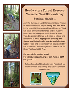 a1730169_volunteer_at_the_headwaters_forest_reservetrail_stewards_day_2_.png