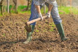 SHUTTERSTOCK - Do you have to bust your soil biome with tilling?