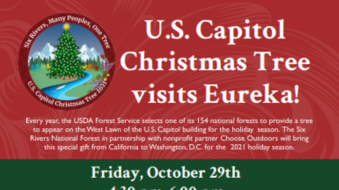 U.S. Capitol Christmas Tree Viewing