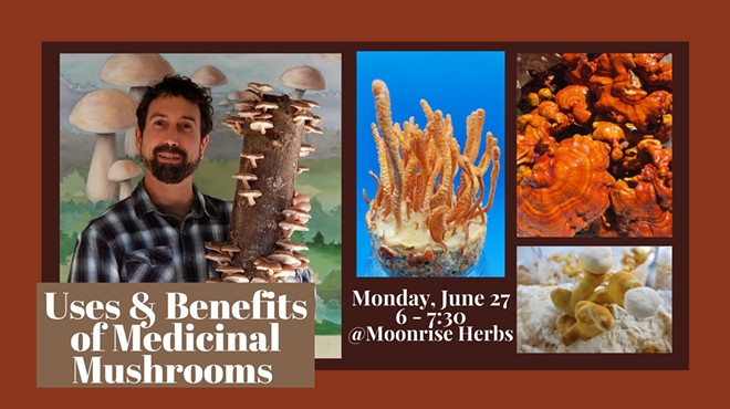 Uses & Health Benefits of Medicinal Mushrooms