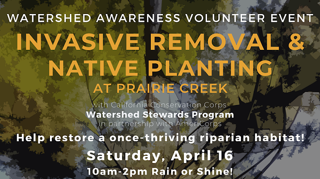 Watershed Restoration Volunteer Event
