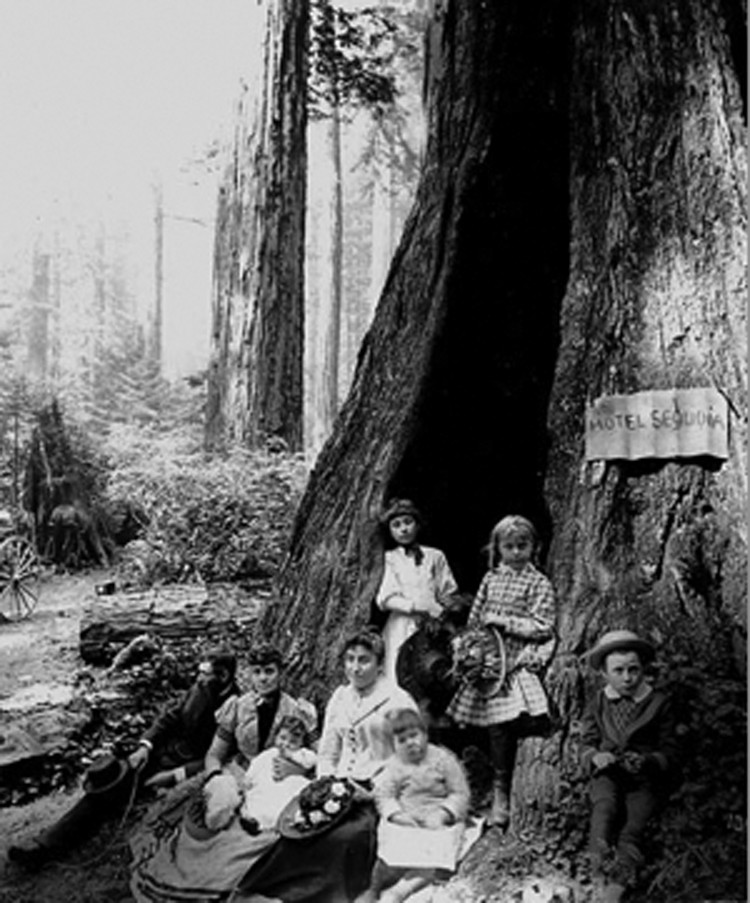 Women of the Pacific Northwest - PHOTO COURTESY OF ARCATAPLAYHIUSE.COM